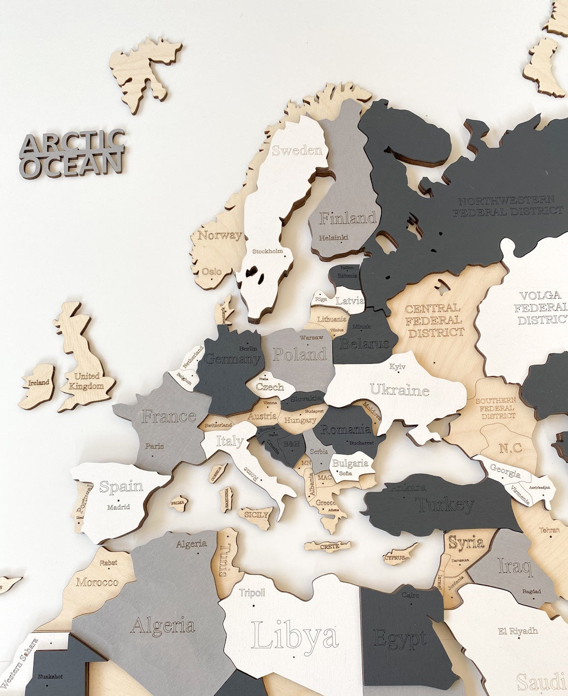 3D WOODEN WORLD WALL MAP